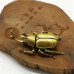 Vintage Copper Insect Tea Pet Japanese Rhinoceros Beetle Small Ornaments Brass Dynastes Hercules Home Figurines Desk Decorations